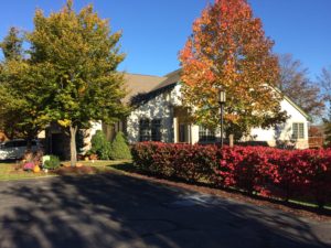 Y - Fa - House Side View 2016